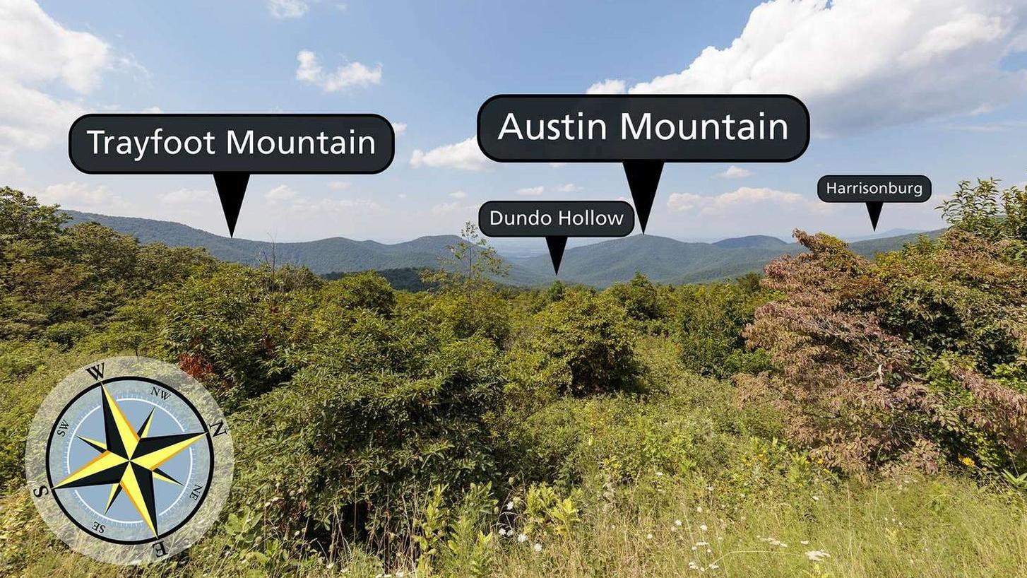 A view over bushes and shrubs to mountains in the distance.