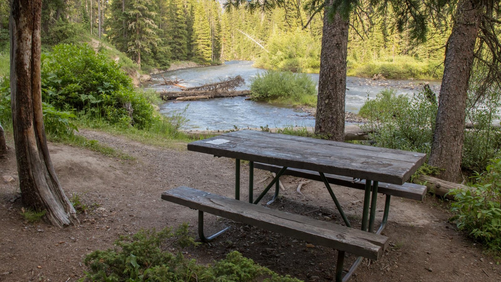 A picnic table in the forest near a large stream