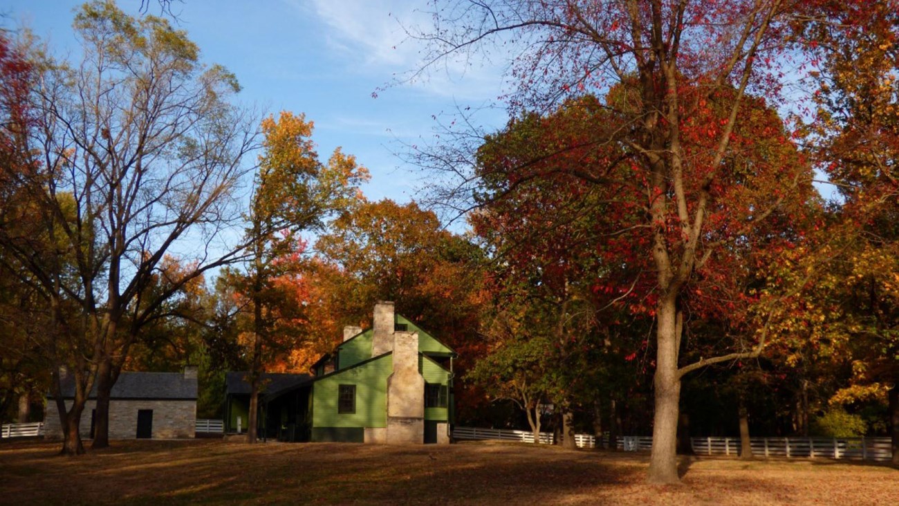 A collection of trees in the fall with a mix of red colors surround a green two-story frame house.