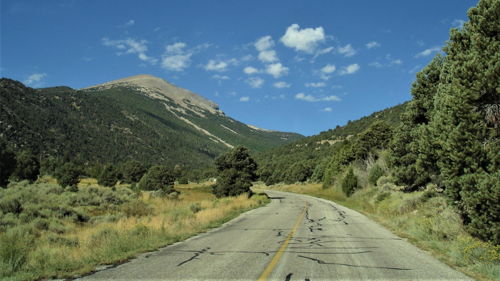 Road with green plants on either side and brow mountain in background