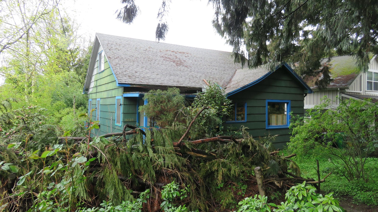 Two-story green house with blue window sills, surrounded by greenery