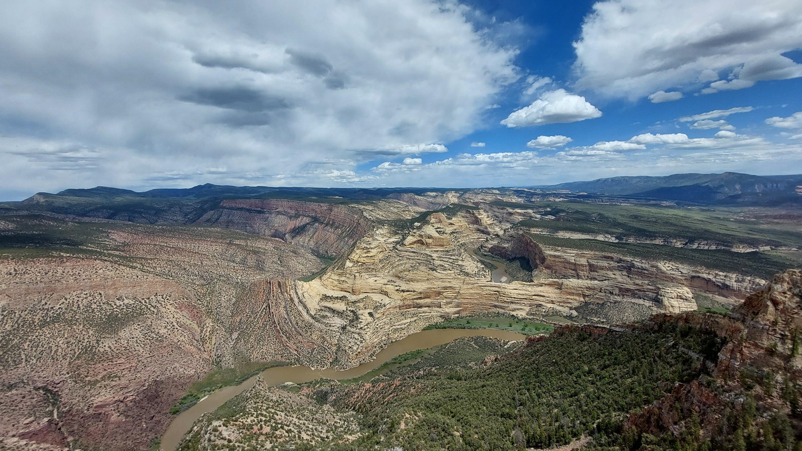 A large canyon wall of twisting walls.
