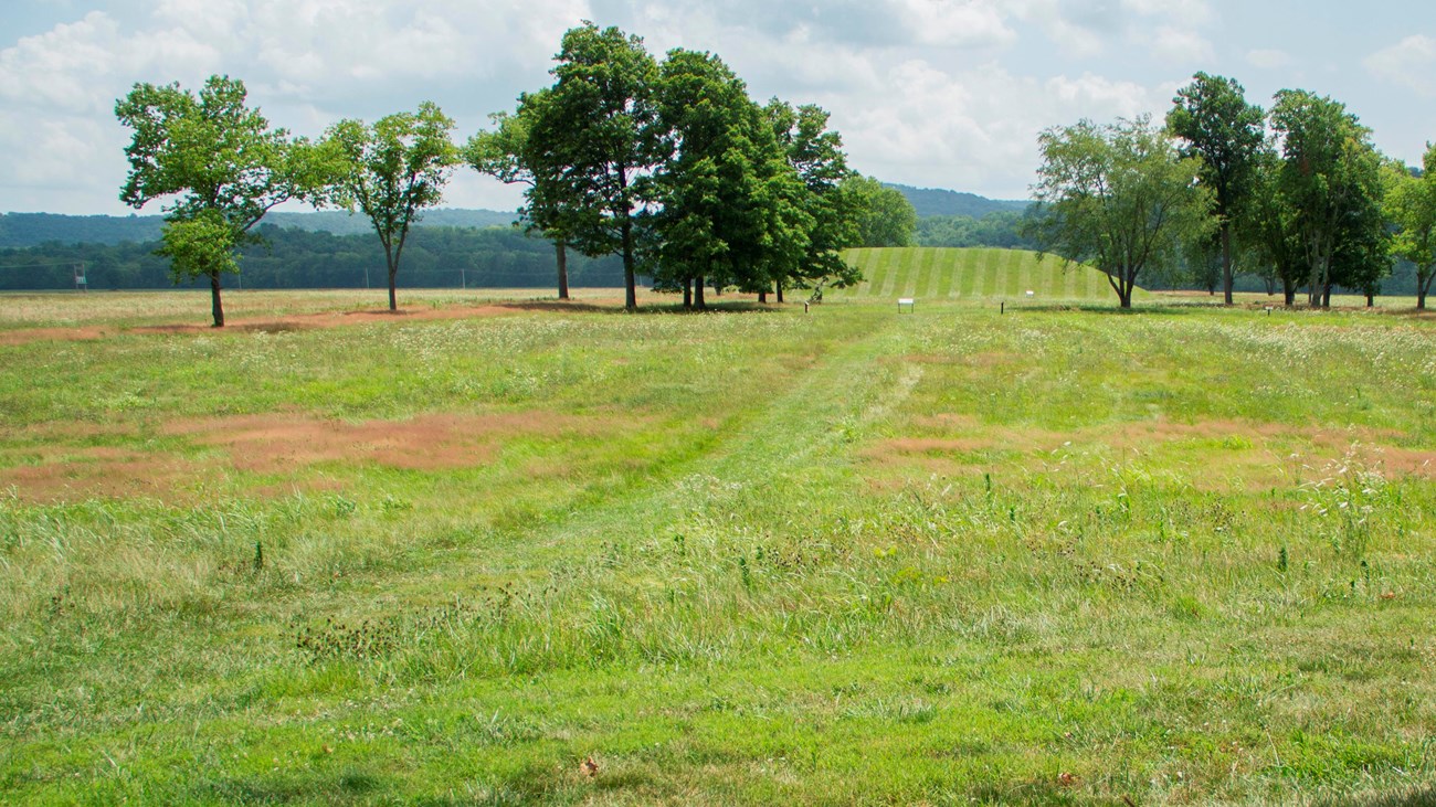Grass-cut trails leading to a large, manicured tall earthen mound.
