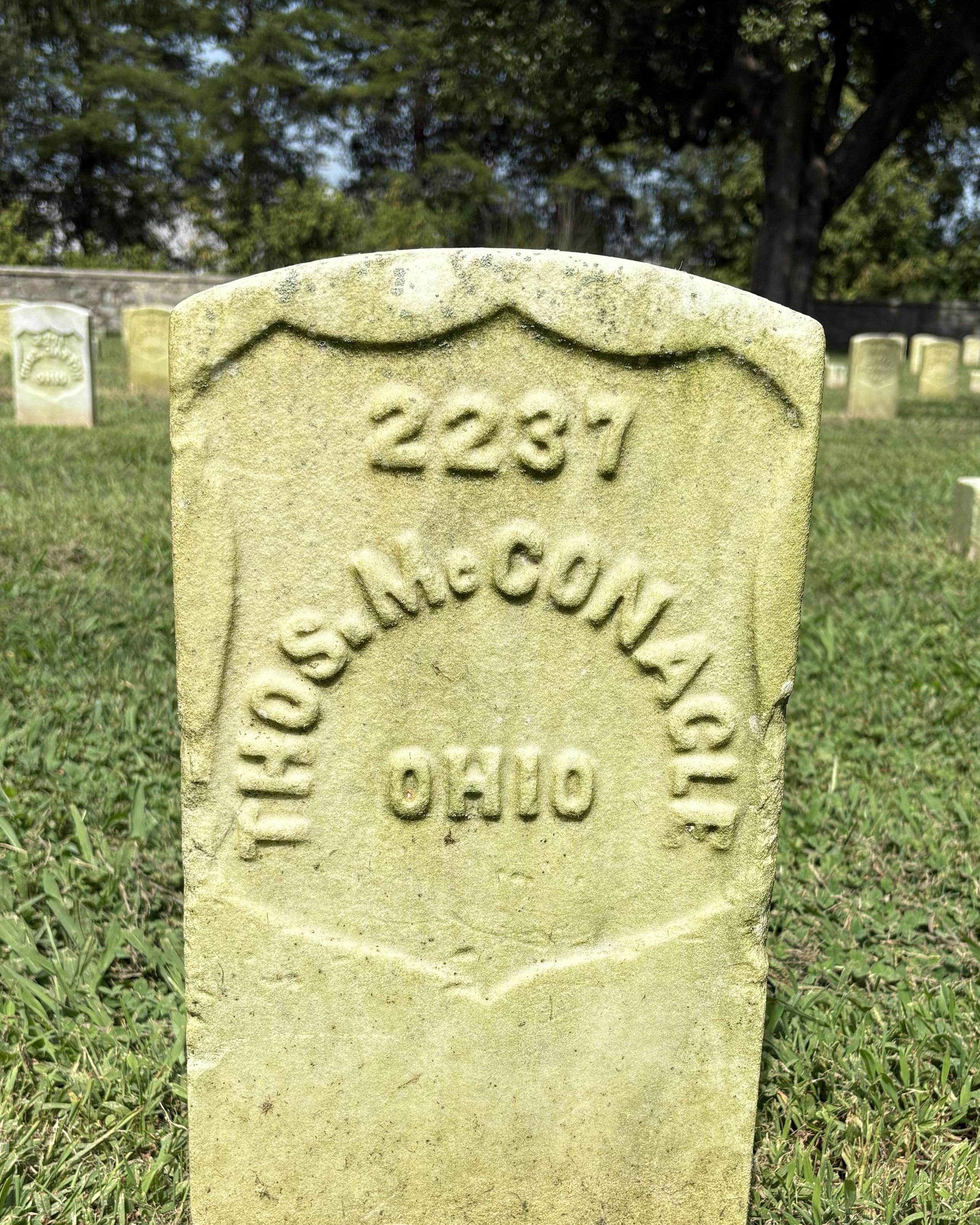 Marble headstone with the name "Thos. McGonagle" inscribed on its face.