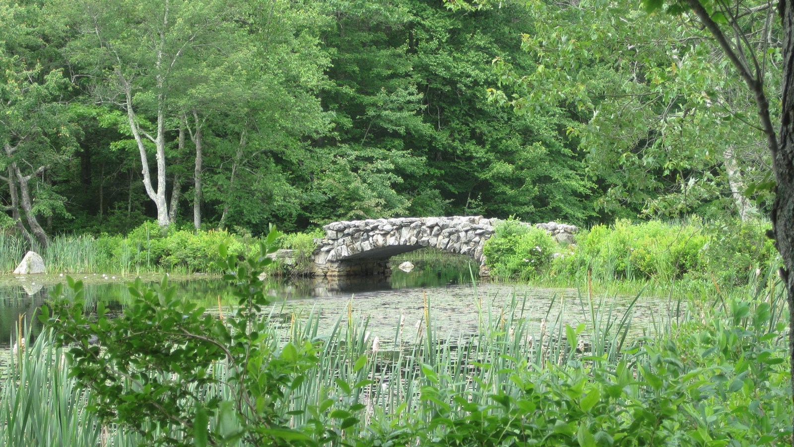 Stone arched bridge over water in Hopedale\'s Parklands