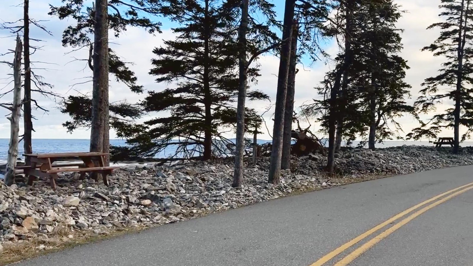 Picnic tables under trees along a rocky shoreline with open ocean in the distance