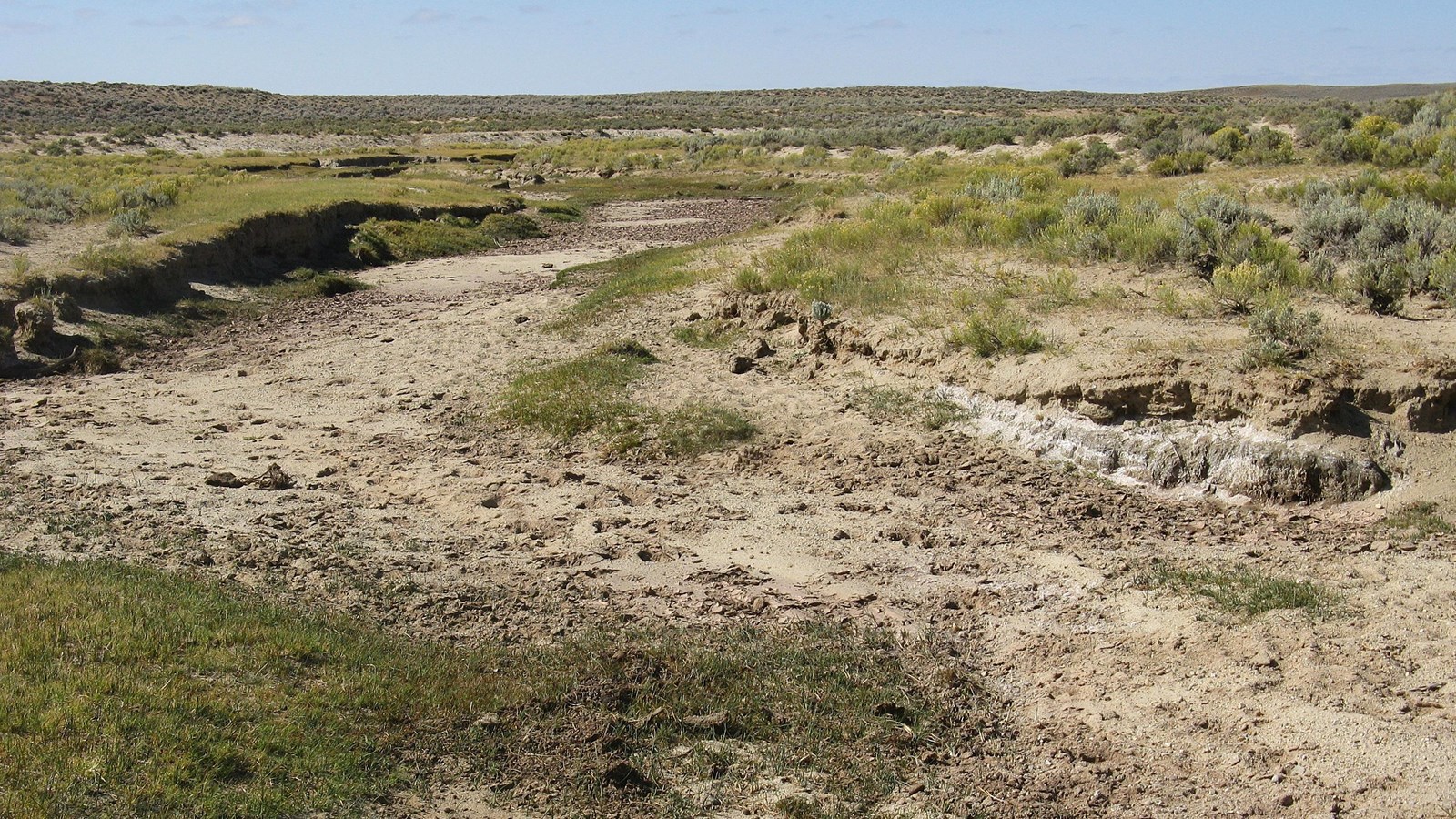 Light-beige sandy streambed with hoofprints, grass, sagebrush, and a distant low ridge. 