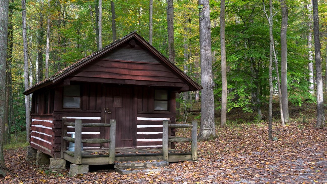 A brown, wooden cabin amongst a grove of green trees.