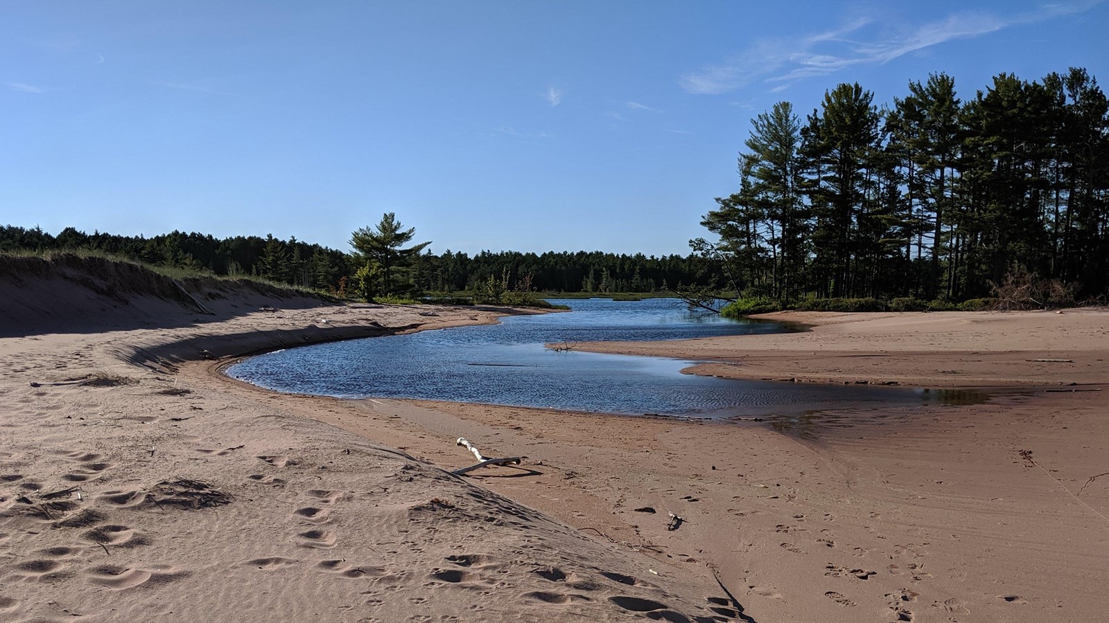 Footprints on a sandy beach in front of water and trees.