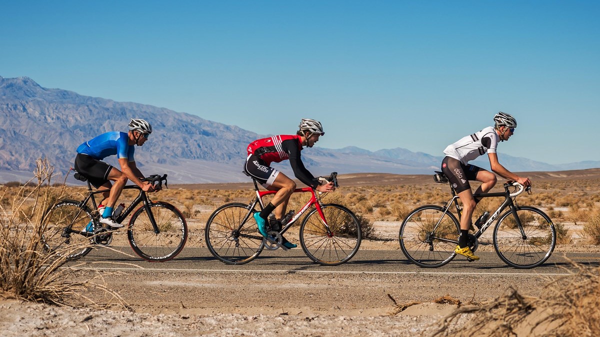 Three cyclists ride on a paved road with desert plants on either side, and mountains in the distance