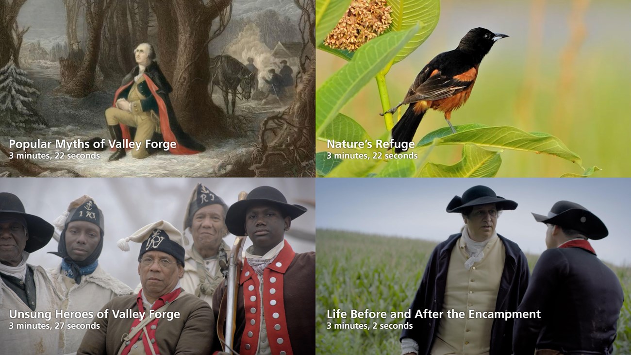 4 images in a grid, top left painting, top right bird, bottom left soldiers, bottom right farmers