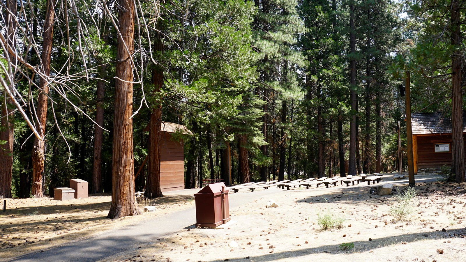 Wooden benches sit in front of many trees facing a podium 