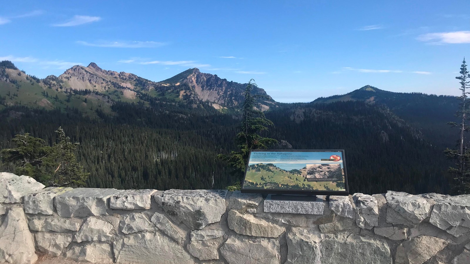 A exhibit panel attached to a rock wall overlooks a forested ridge with patches of meadow. 
