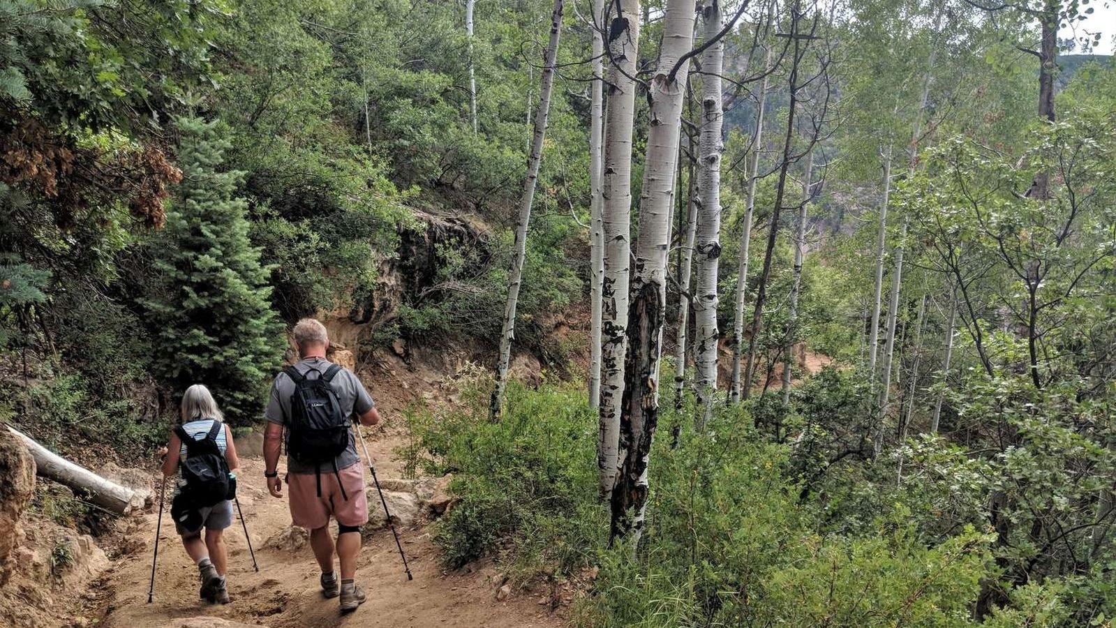 Two hikers walk down a dirt trail in a lush aspen conifer forest. 