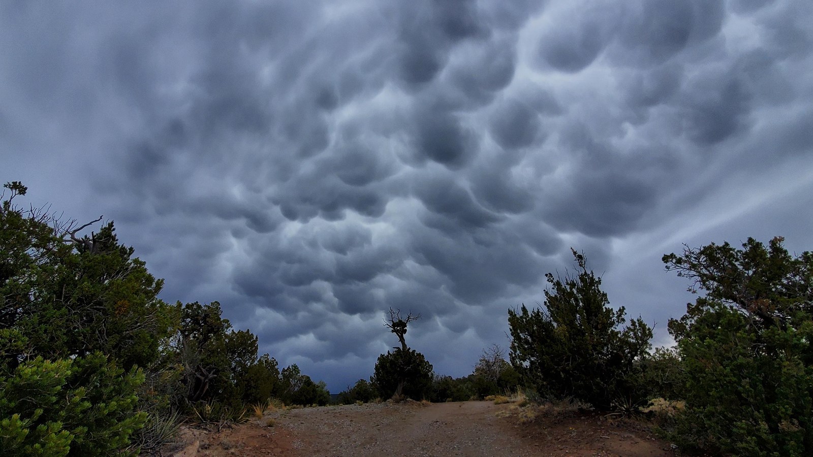 dark cloudy skies above a dirt track with short trees around