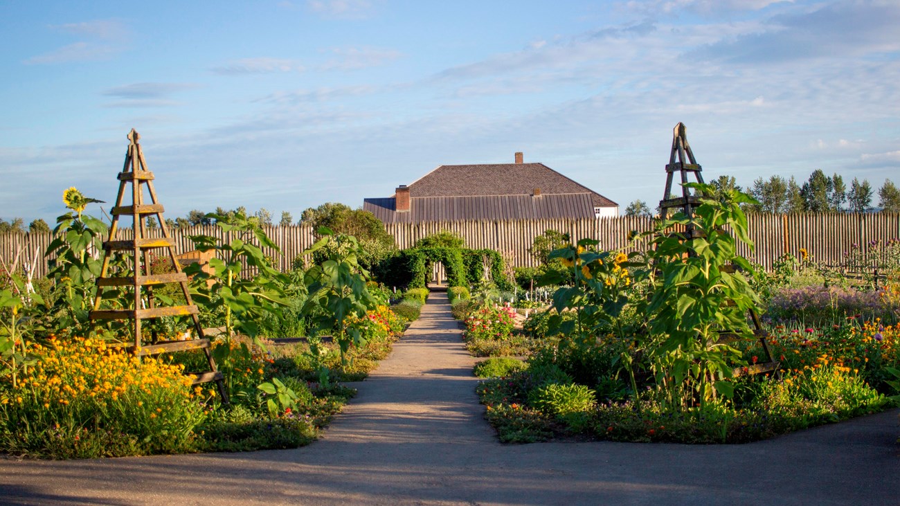 Many plants growing in a garden in front of Fort Vancouver.