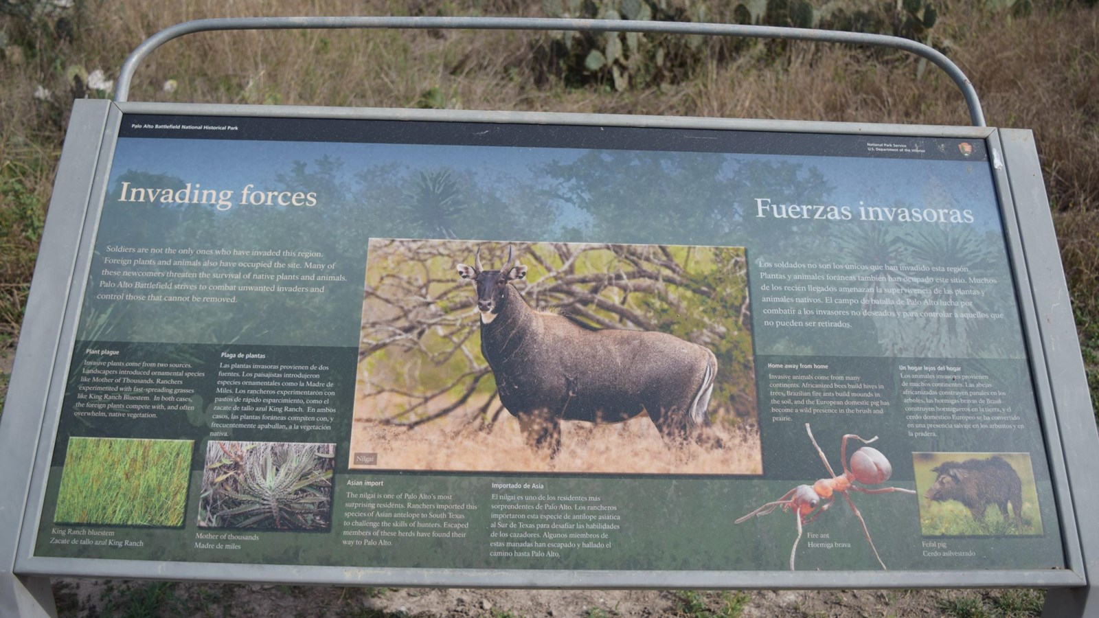 A low-profile wayside base in grey weathering steel for a 36”x 24” interpretation panel. 