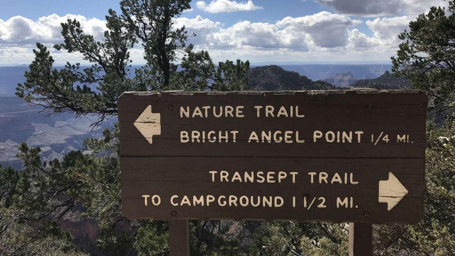 A brown sign shows arrows to the start of Transept Trail and Nature Trail. 