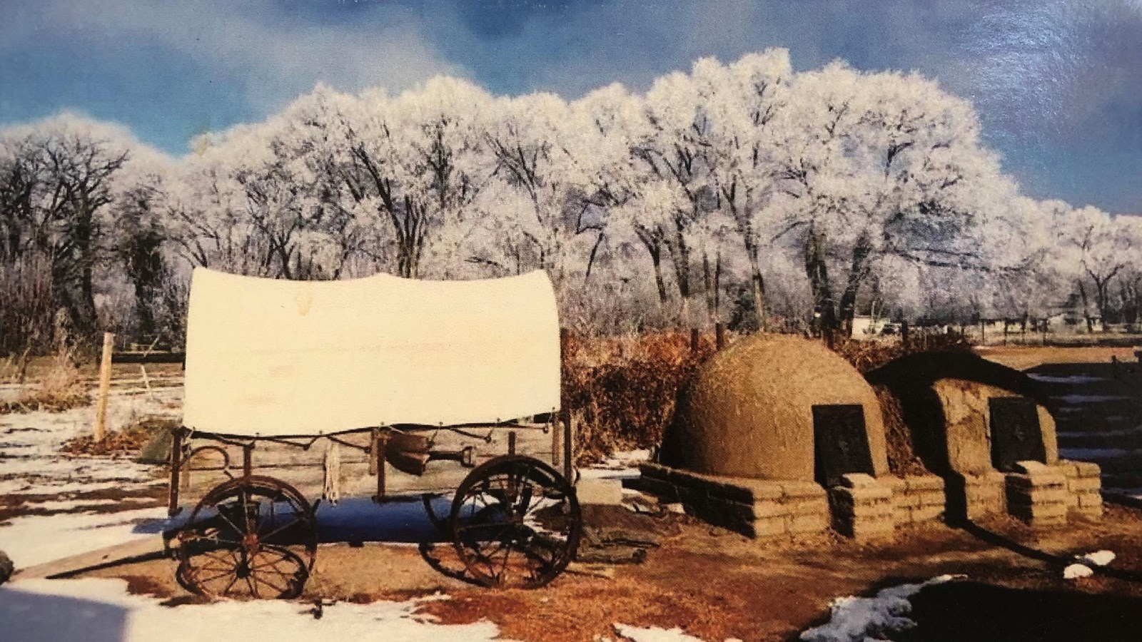 A covered wagon sits next to an adobe oven, in front of a forest of frosted cottonwoods.