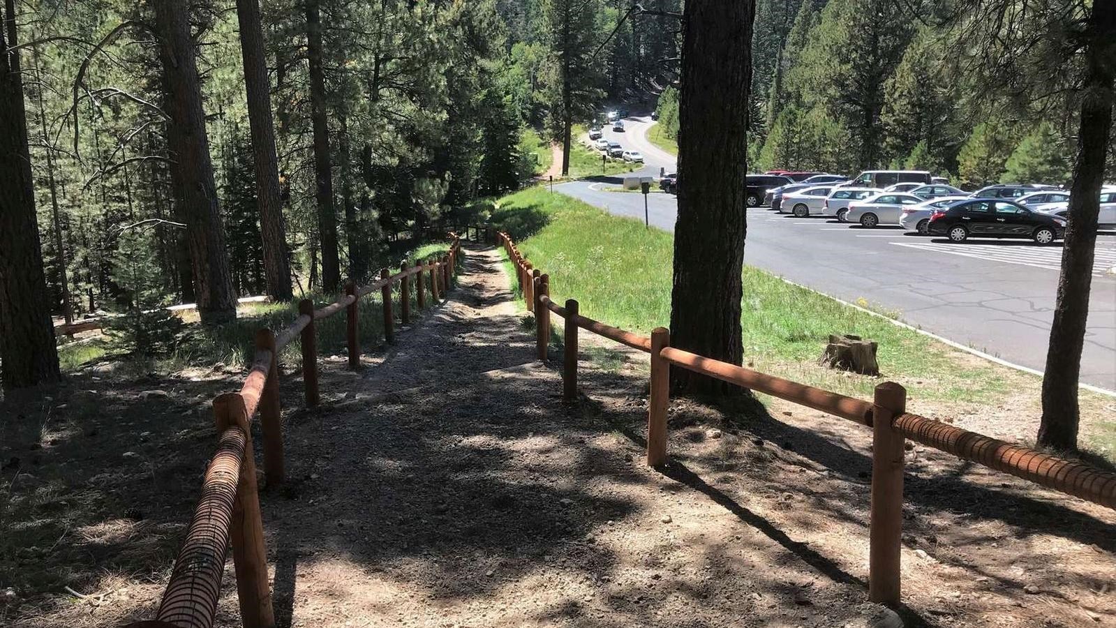 A dirt path lined with wooden fences goes along the edge of a forest. 