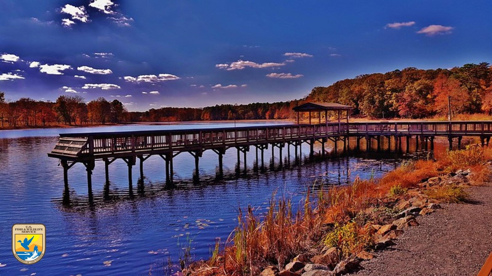 Cash Lake Fishing Pier at Patuxent Research Refuge with autumn foliage and calm water.