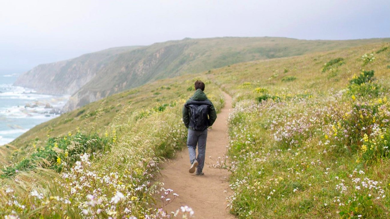 A man hikes through light fog on a dirt path through wildflowers, along a coastal bluff