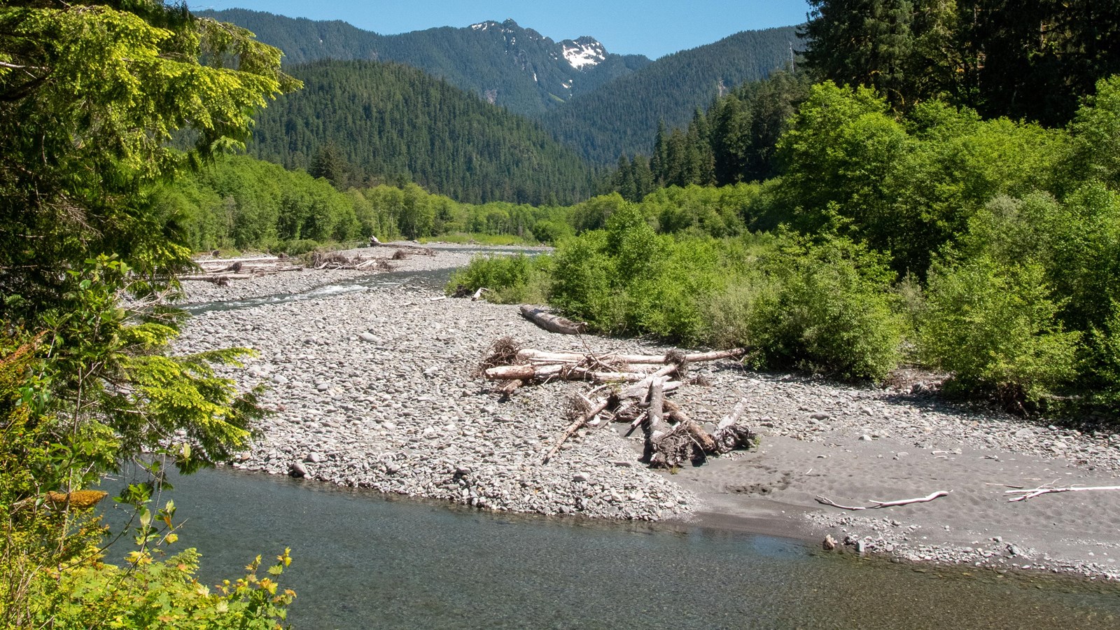 A clear river runs peacefully between forested banks, with snowy peaks in the distance