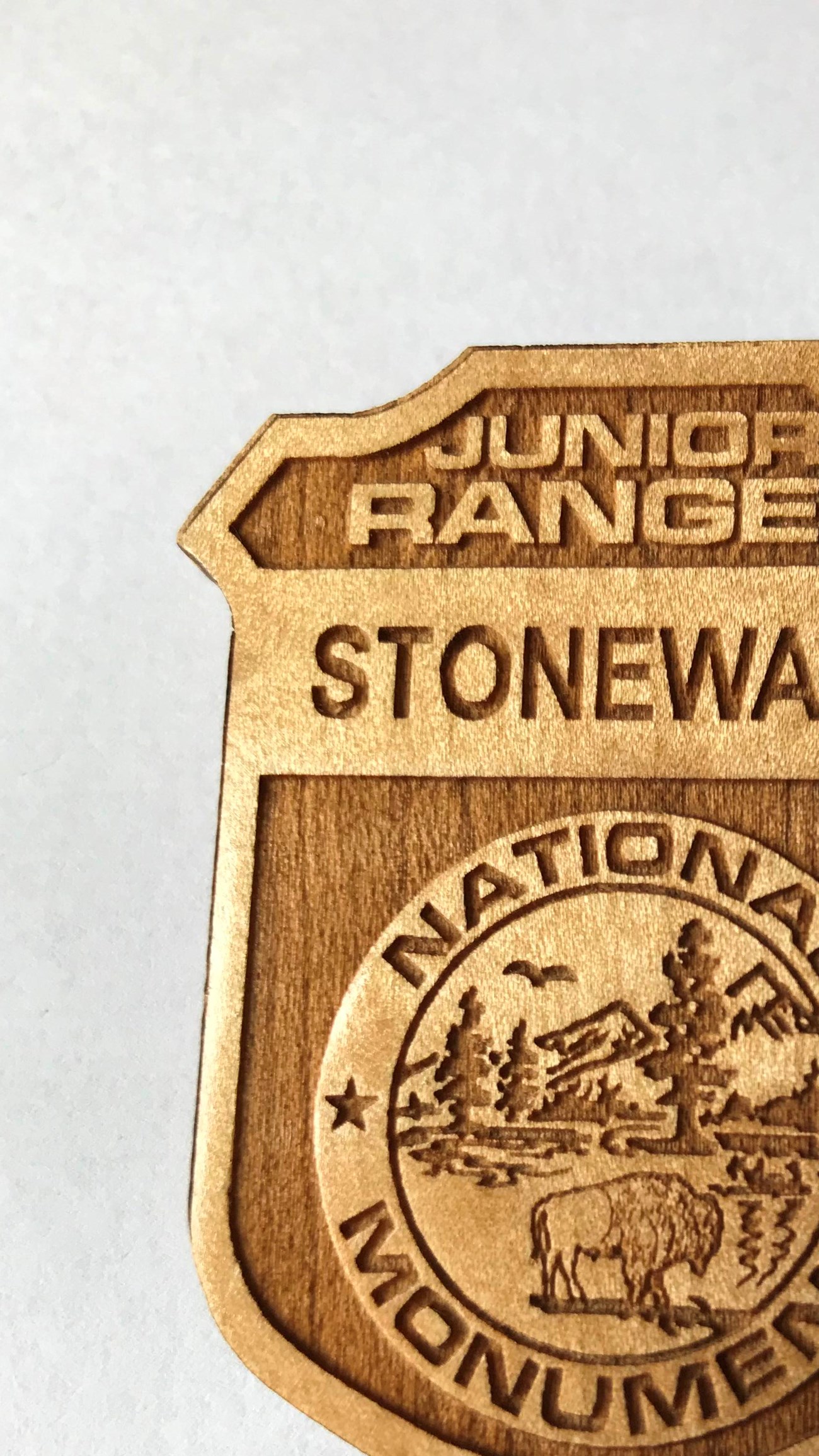 Junior Ranger Badge