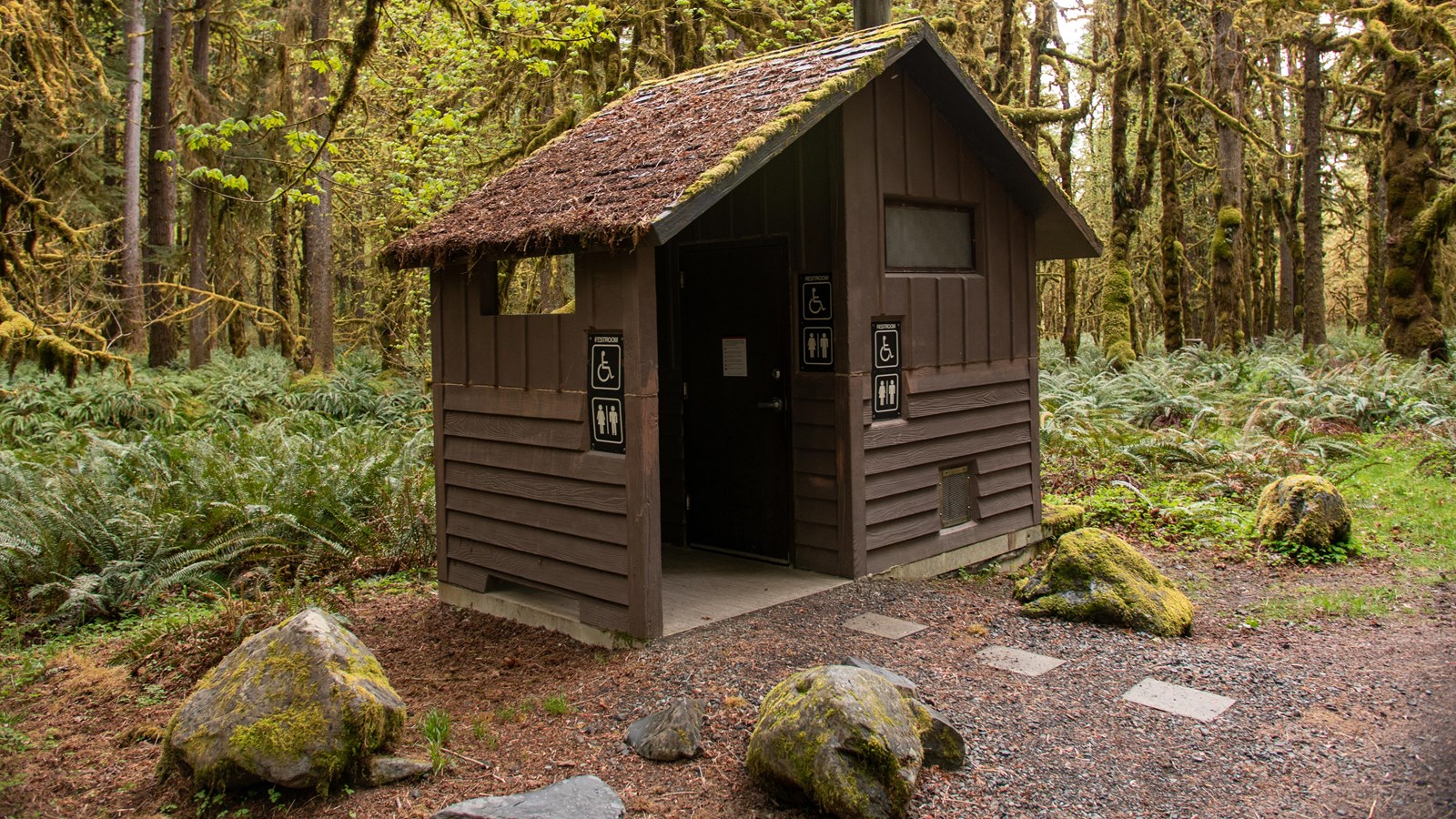 A brown outhouse in the rain forest