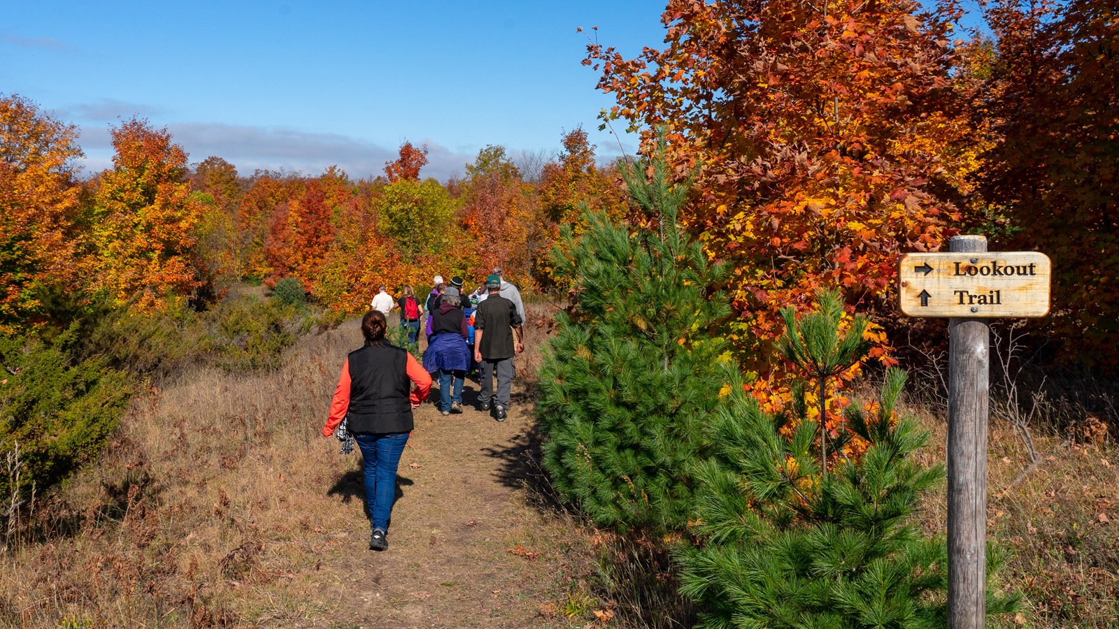 A group of people hike on a sandy trail surrounded by trees in fall foliage