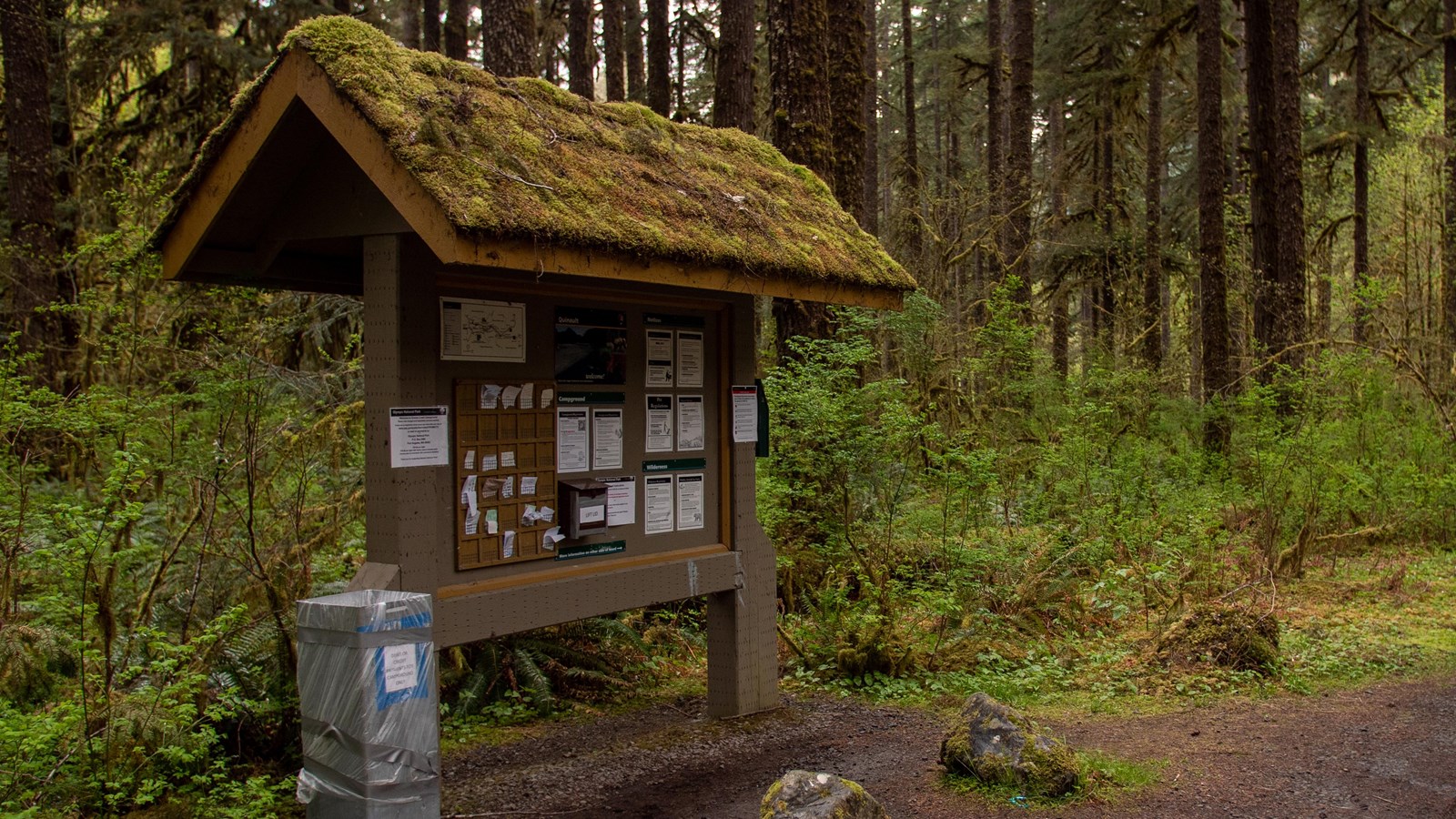 A campground registration board in the rain forest