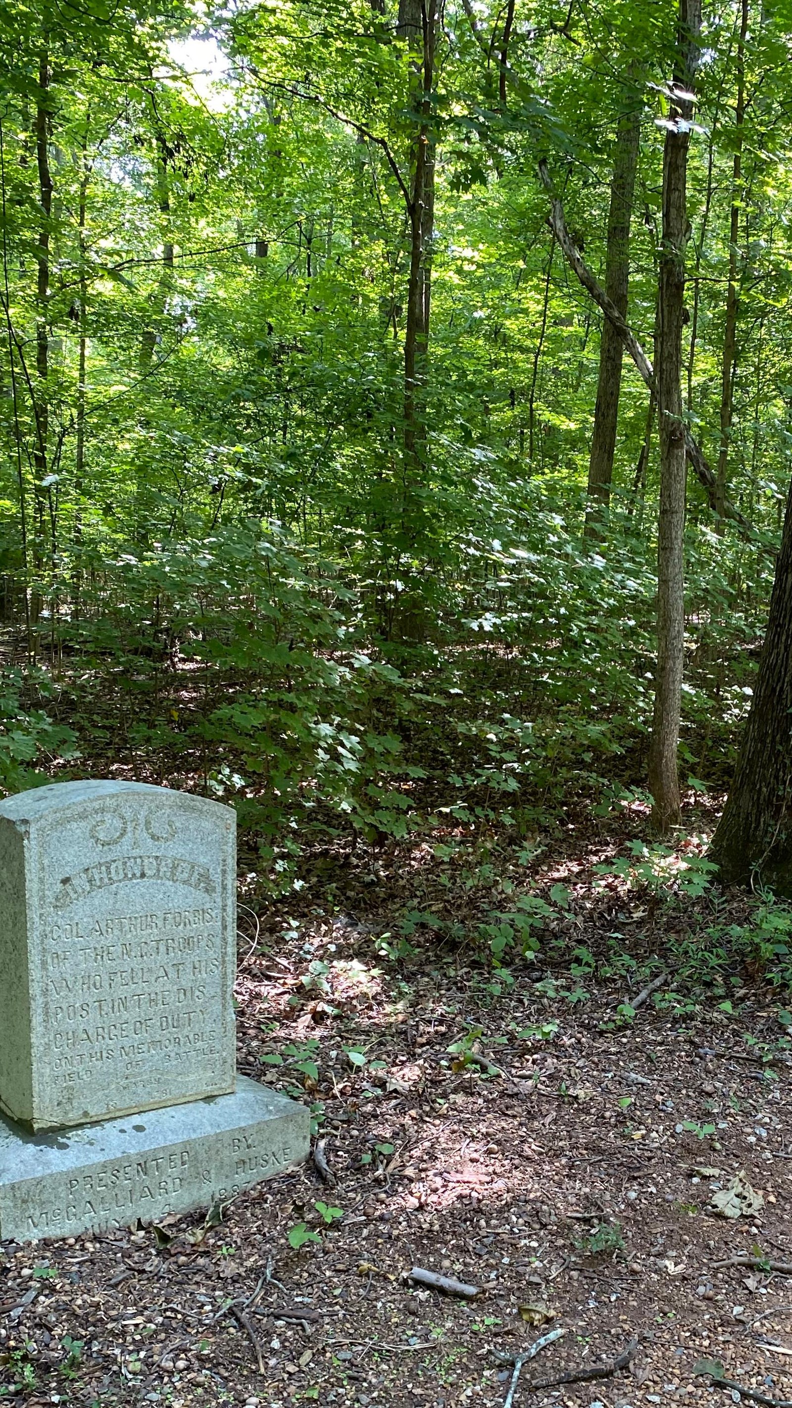 A stout monument shaped like a grave stone sits at the edge of dense woods. 