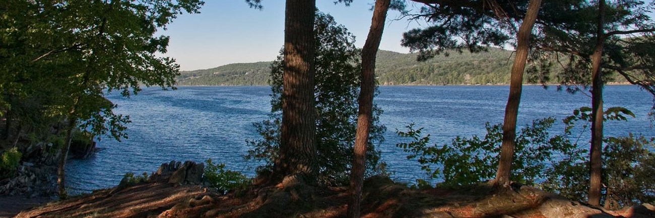 A River with a wooded setting in the foreground.