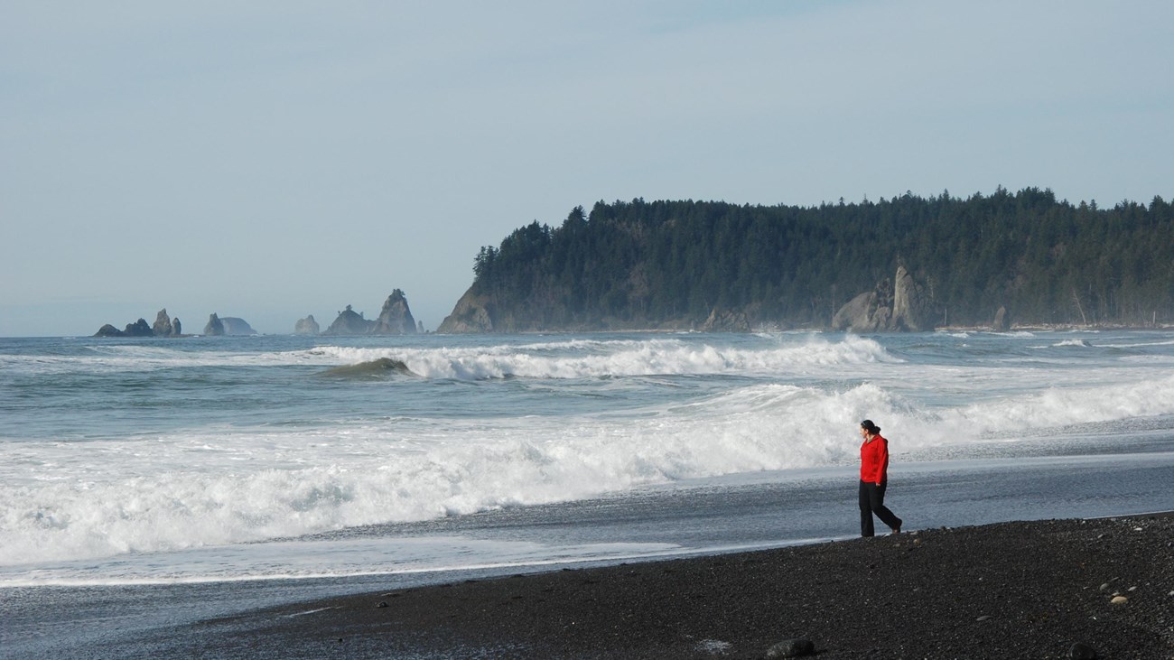 A person walks along a rocky beach. 