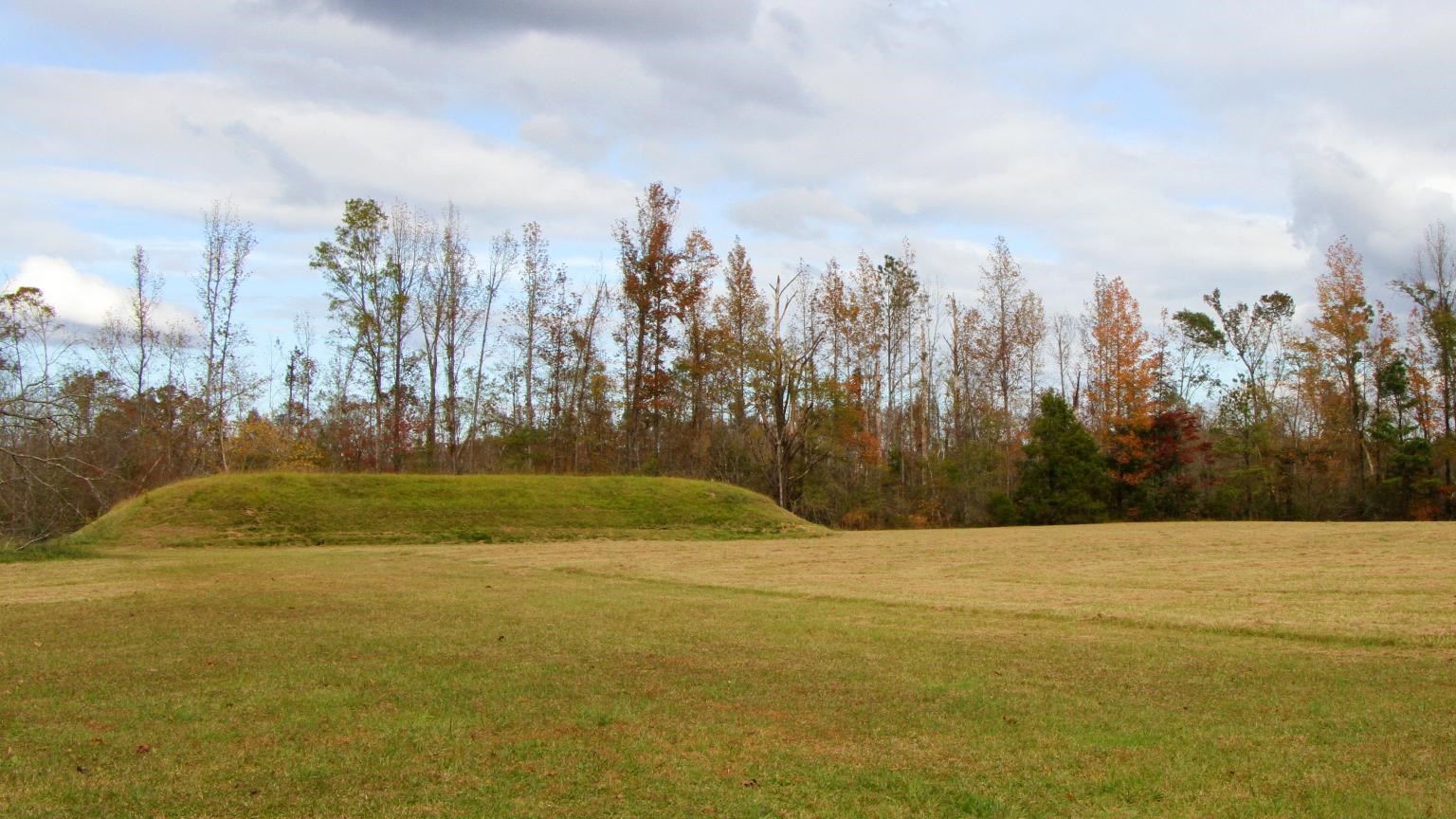 Flat topped mound is in the distance with a line of orange and green trees behind it.