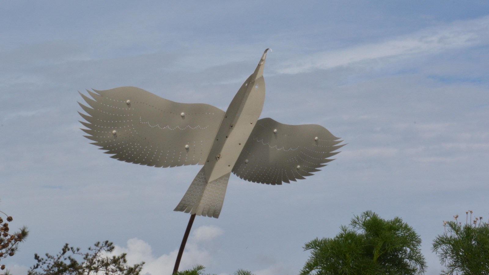 The Red-tailed hawk is on a post as if soaring high above the landscape. Its wings stretch three fee
