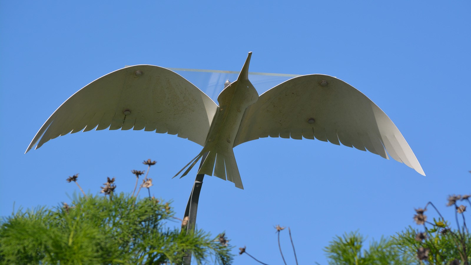 The western gull is mounted to a long thin metal rod as if soaring above the vegetation. The gull ha
