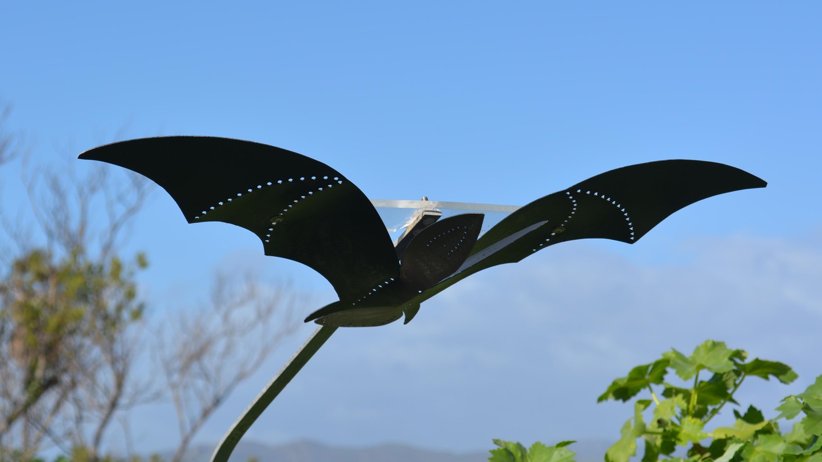 The Townsends big-eared bat sculpture cut from black plastic soars above the garden on a metal rod. 