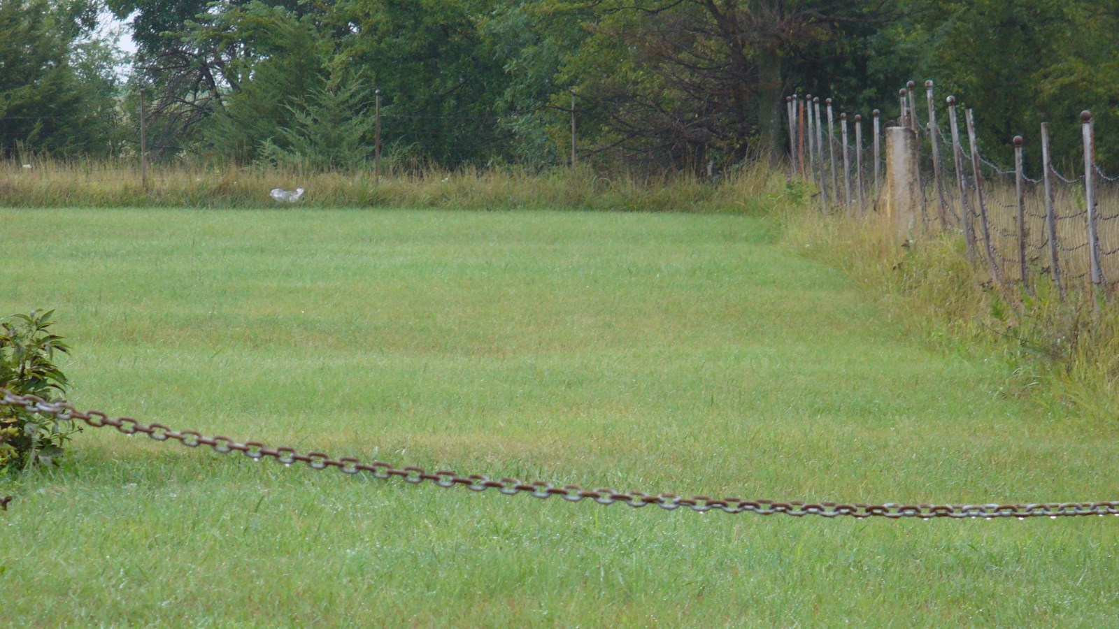 A trail rut runs through a flat, grassy field.