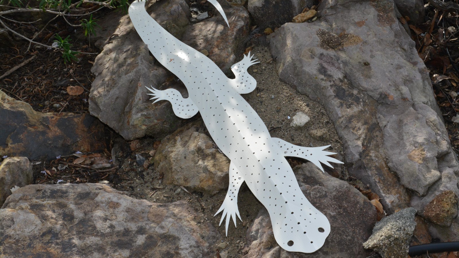 The island night lizard is displayed basking on a pile of rocks. This three-foot-long sculpture has