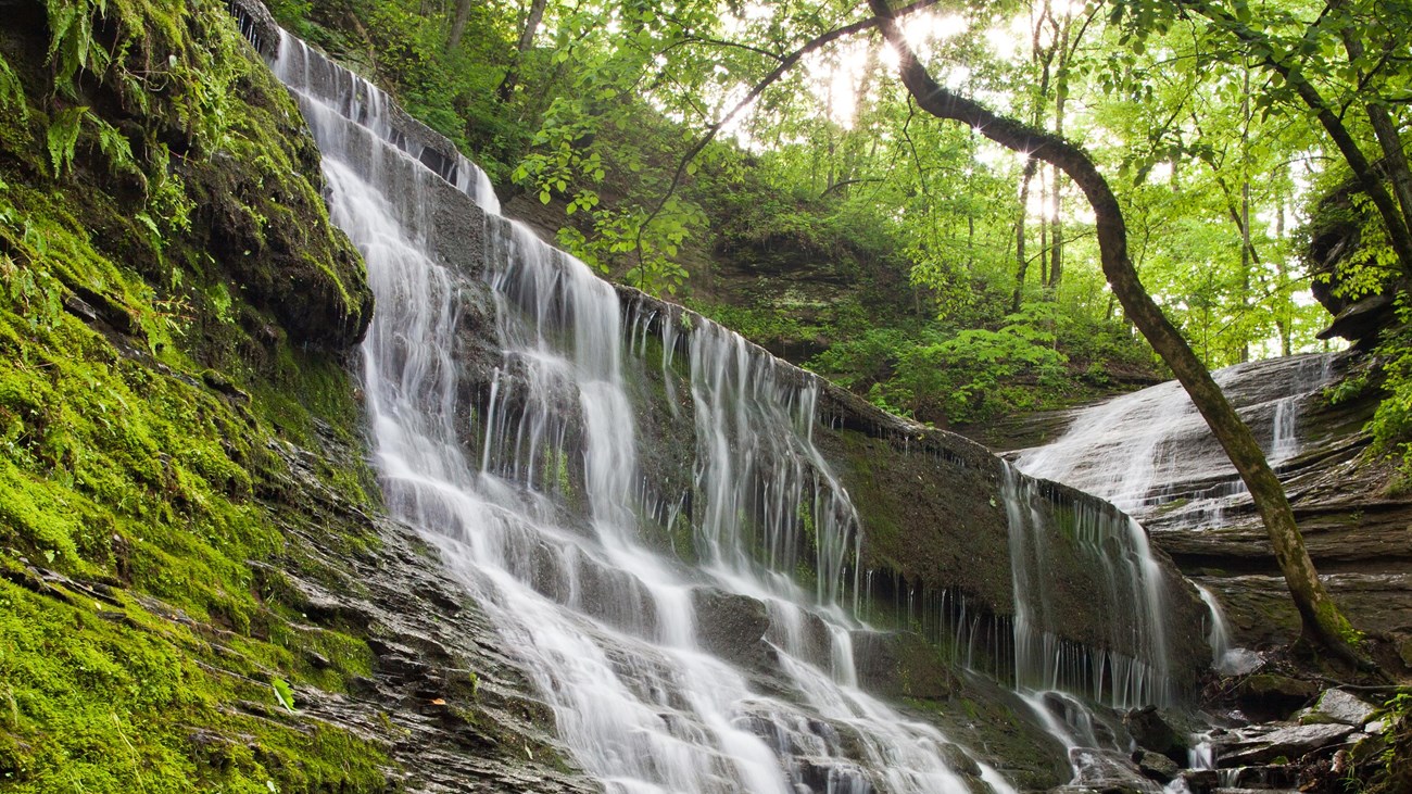 Water cascades down wet and moss-covered rocks. Trees with green leaves surround the waterfall.