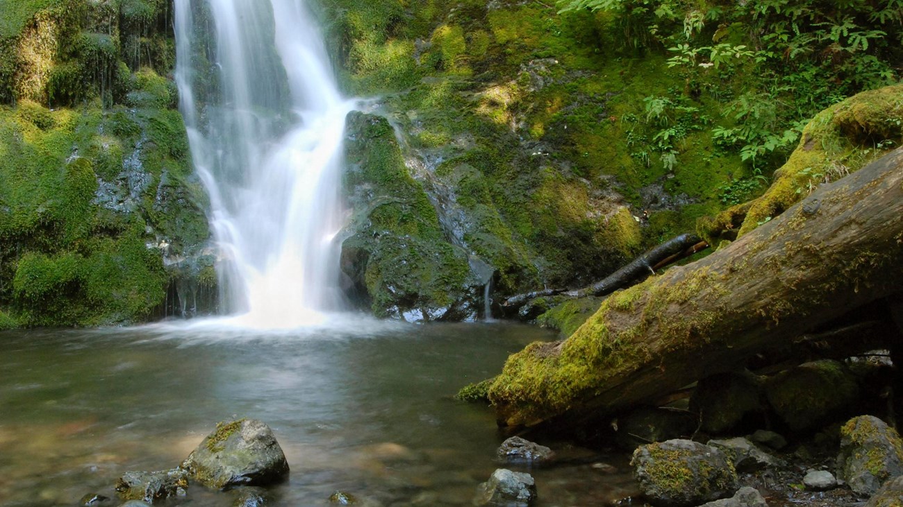 A waterfall rushes over mossy rocks to a pond below.