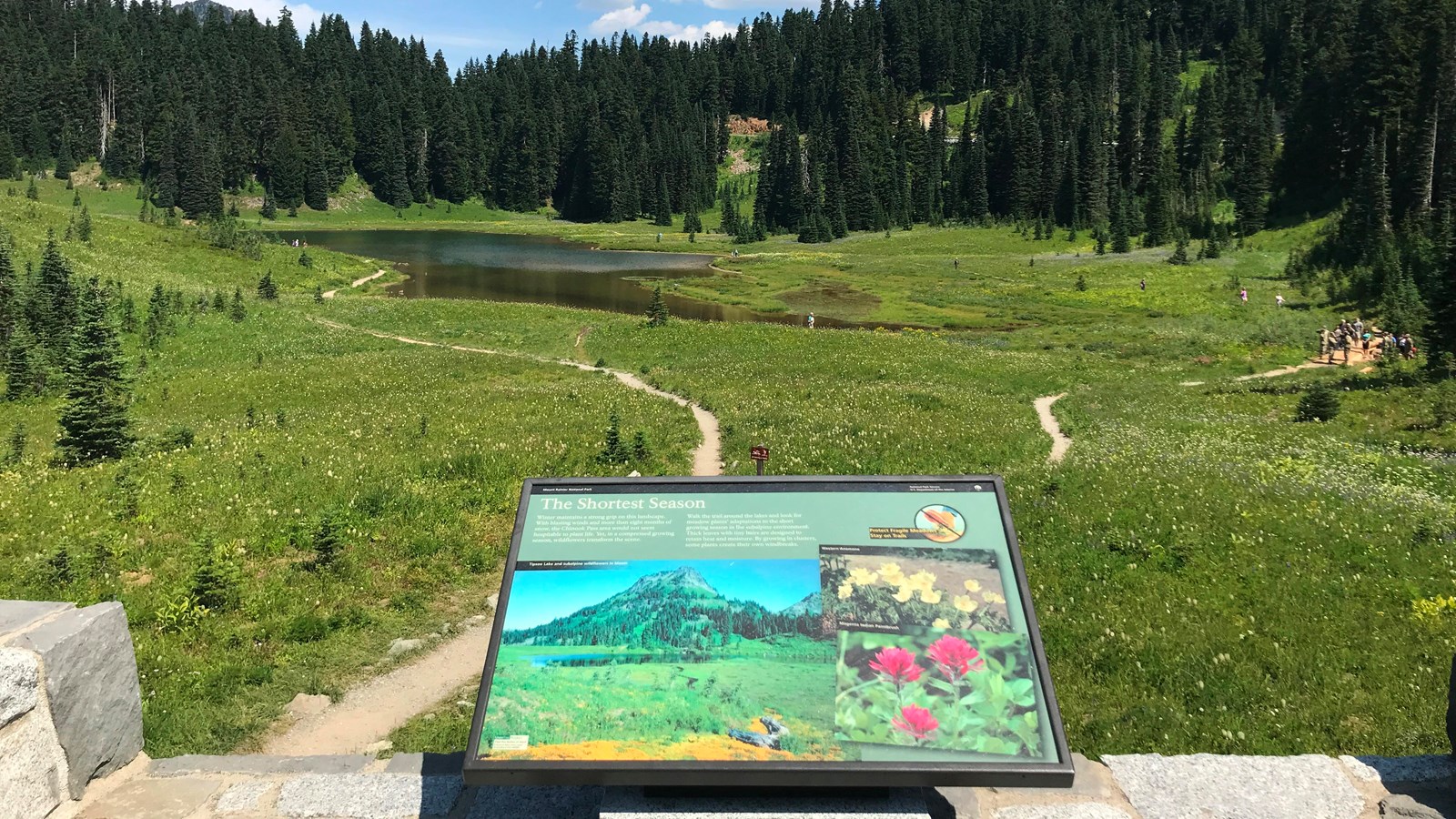 A exhibit panel on a low rock wall overlooking a lake surrounded by a wildflower meadows. 