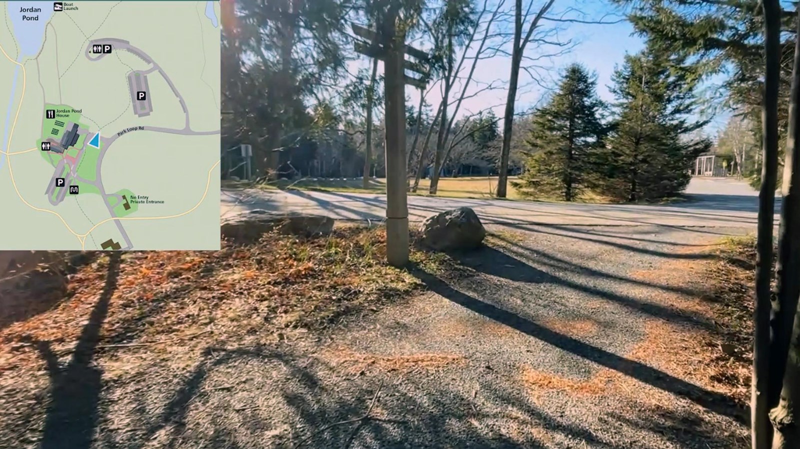 Gravel path under trees leading to a road, pathways, and a building in the distance