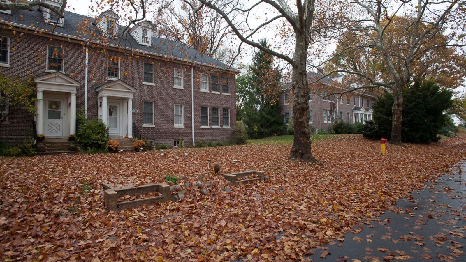 Street lined with trees and historic houses
