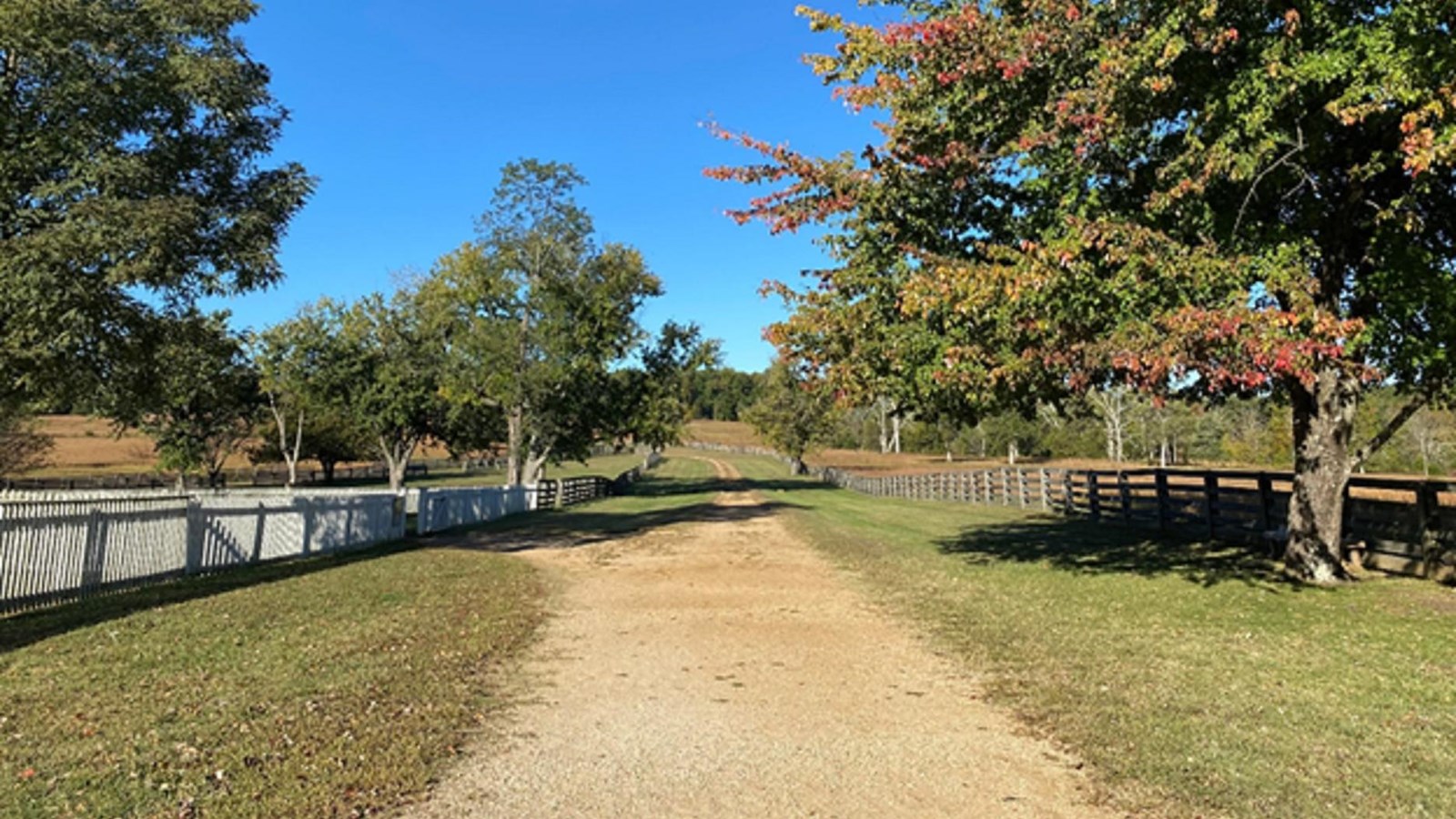 Dirt pathway cutting through the center of the village.
