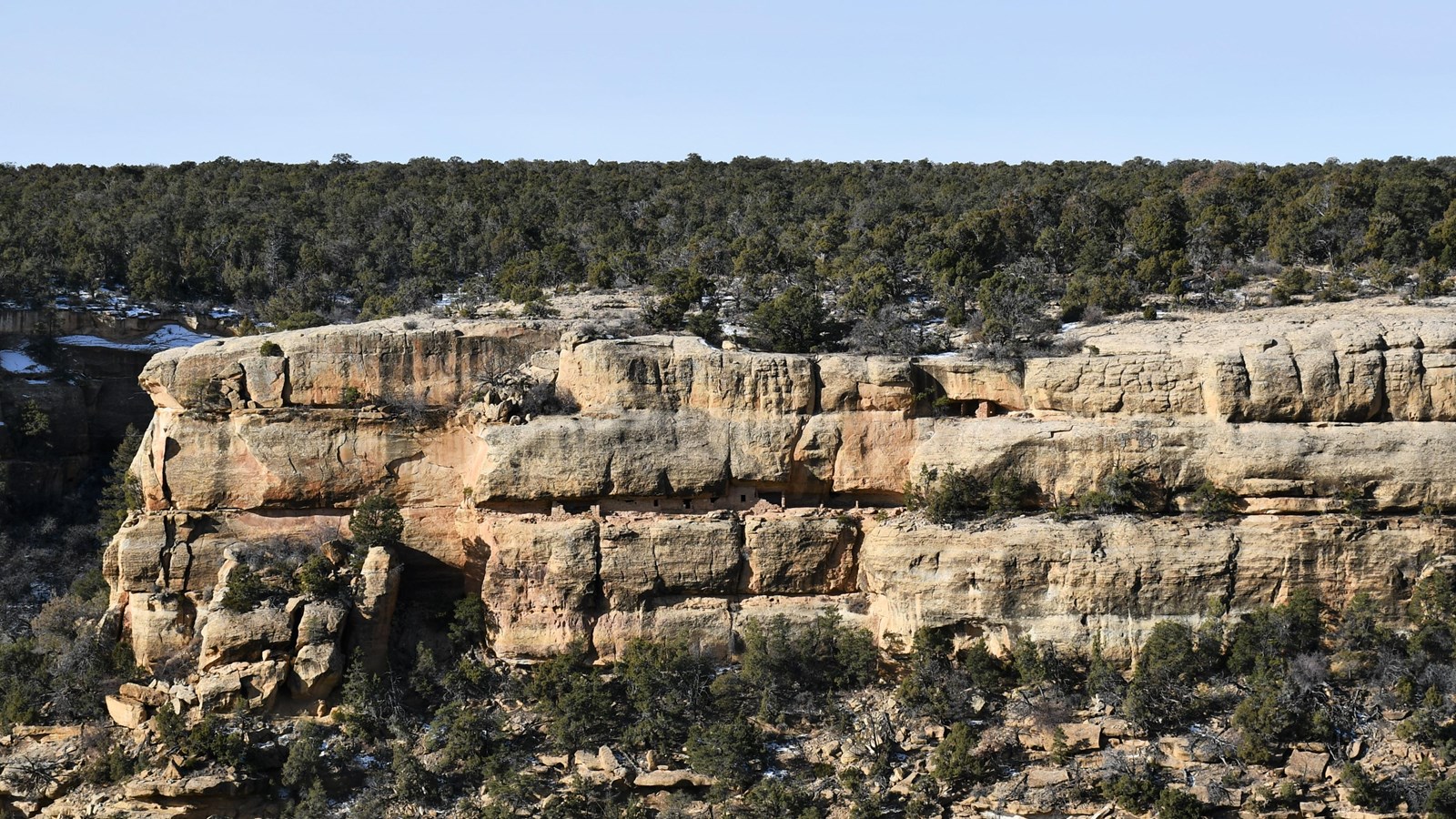A cliff dwelling sits in a small sandstone alcove. Pinyon pines and junipers cover the mesa top.