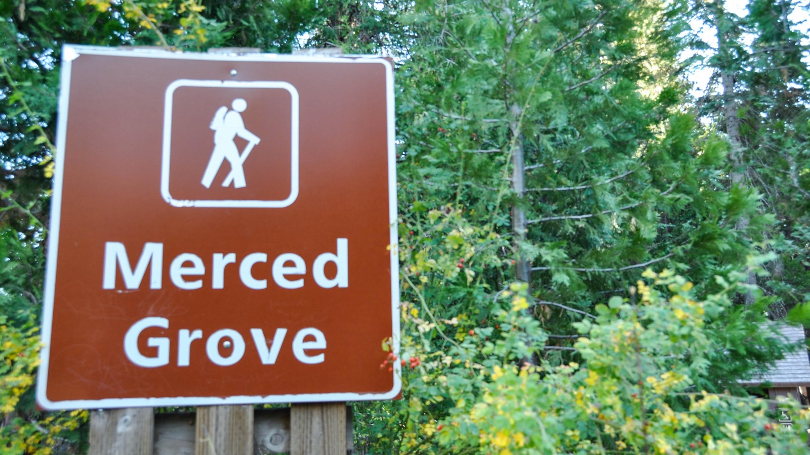 Brown and white sign at trailhead 