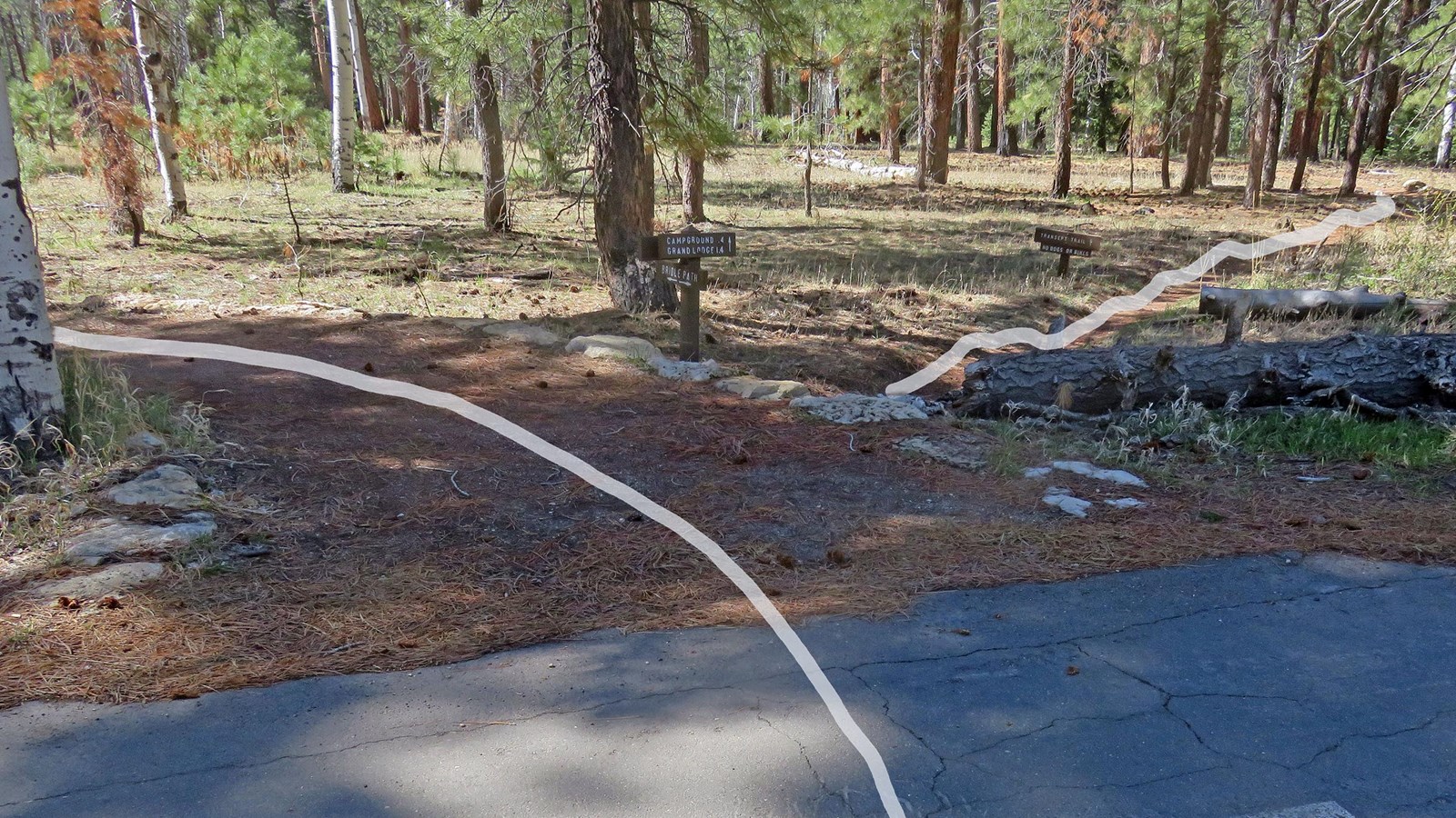 intersection of two footpaths, each indicated by white lines