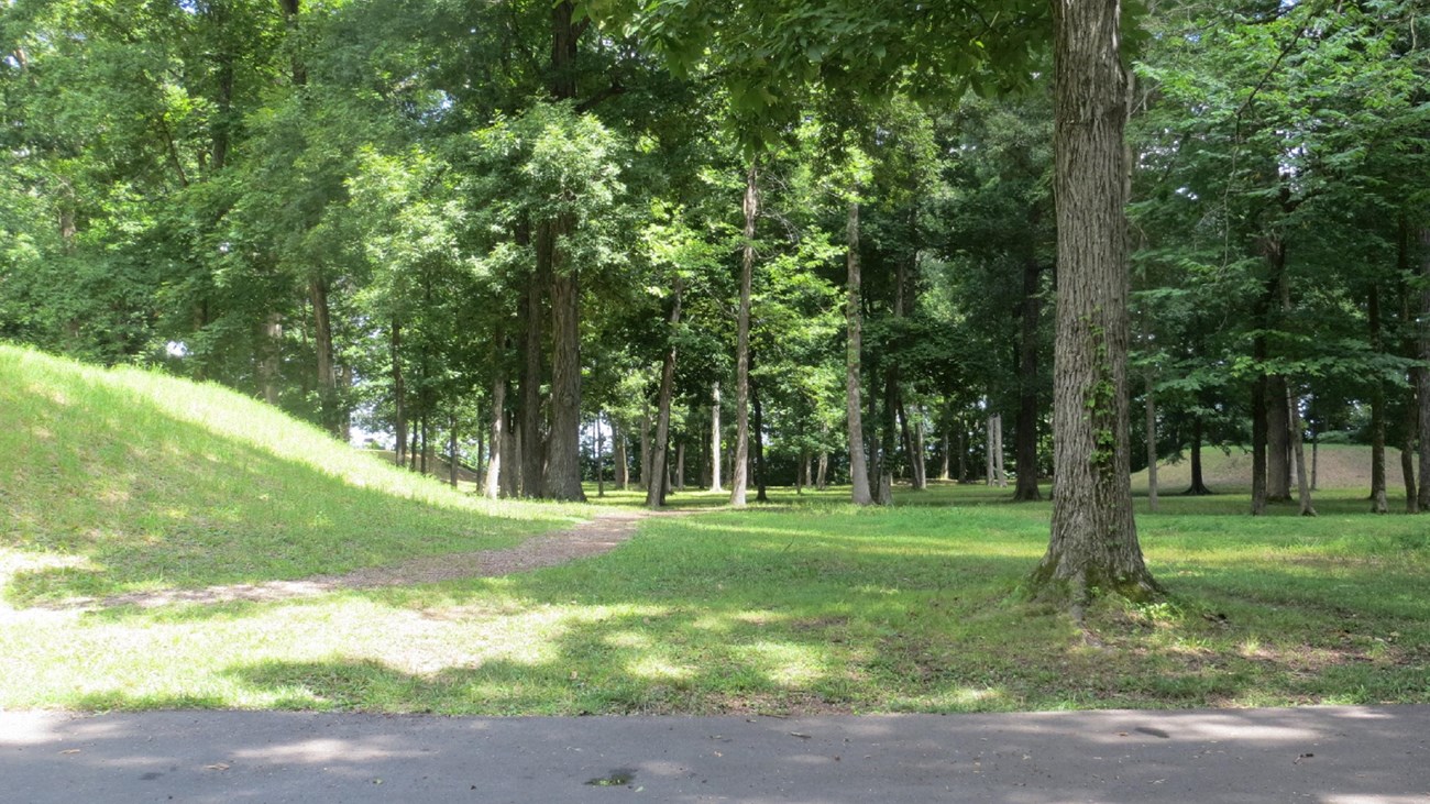 Two Indian mounds covered in green grass